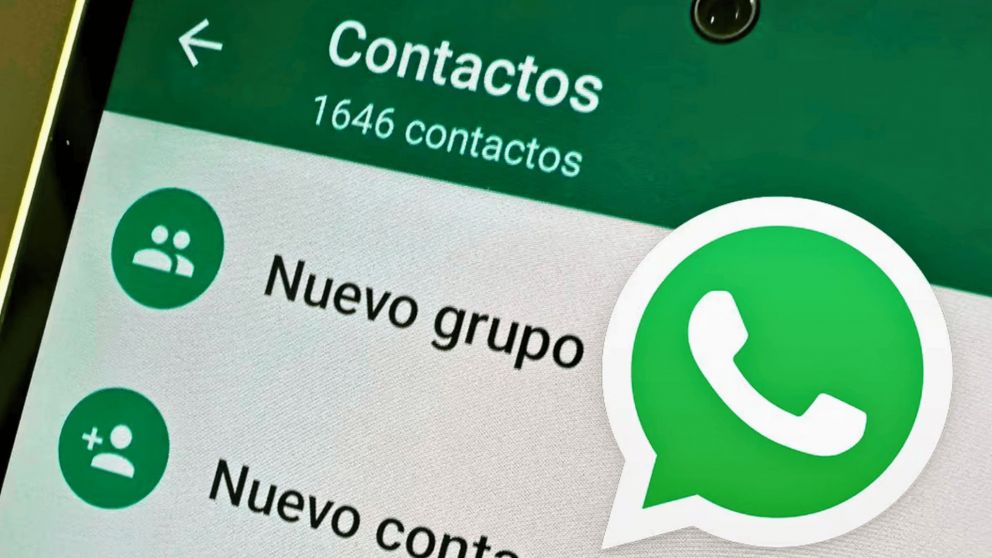 WhatsApp permite enviar mensajes a otros internautas sin agendarlos previamente: cómo hacerlo y los beneficios (Imagen ilustrativa).