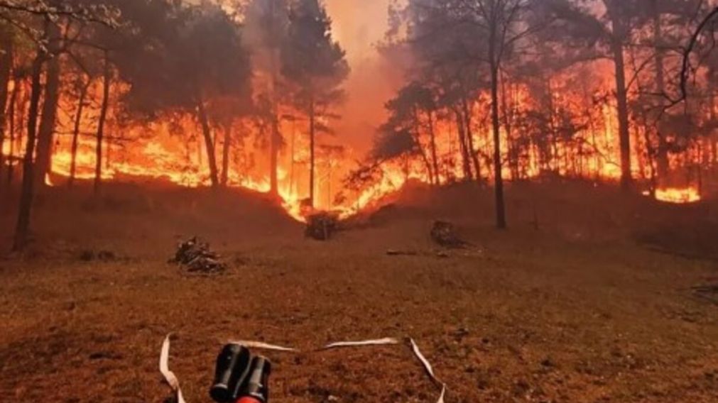Miles de hectáreas en Calamuchita fueron consumidas por el fuego (X).