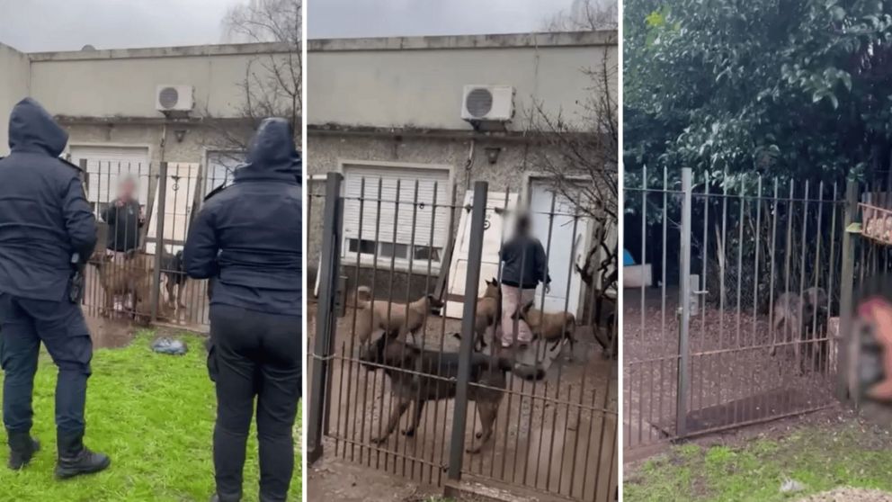 El hecho tuvo lugar en un domicilio de City Bell.