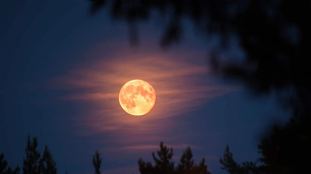 Rituales para la Luna llena de Esturión: elegí tu preferido.