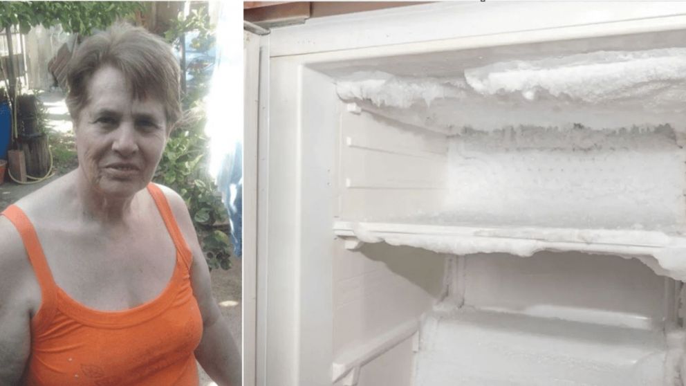 Rosanna Pilloni, la mujer de 78 a�os cuyo cad�ver fue encontrado en una heladera (Gentileza de Crhonist).