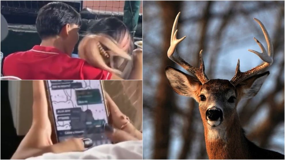 Fue a la cancha con su novio y la "cacharon" chateando con el amante: "Te la met... toda"