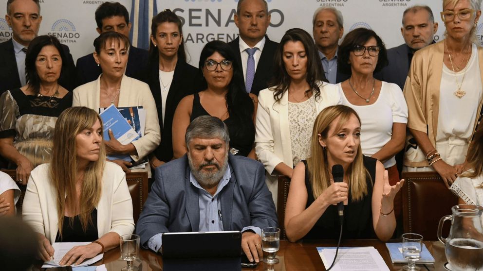 Comunicado de Senadores de Unión por la Patria: la Cámara Alta "no es lugar de los genocidas"