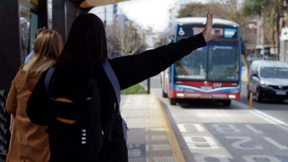 Qué pasará con los colectivos en el AMBA.