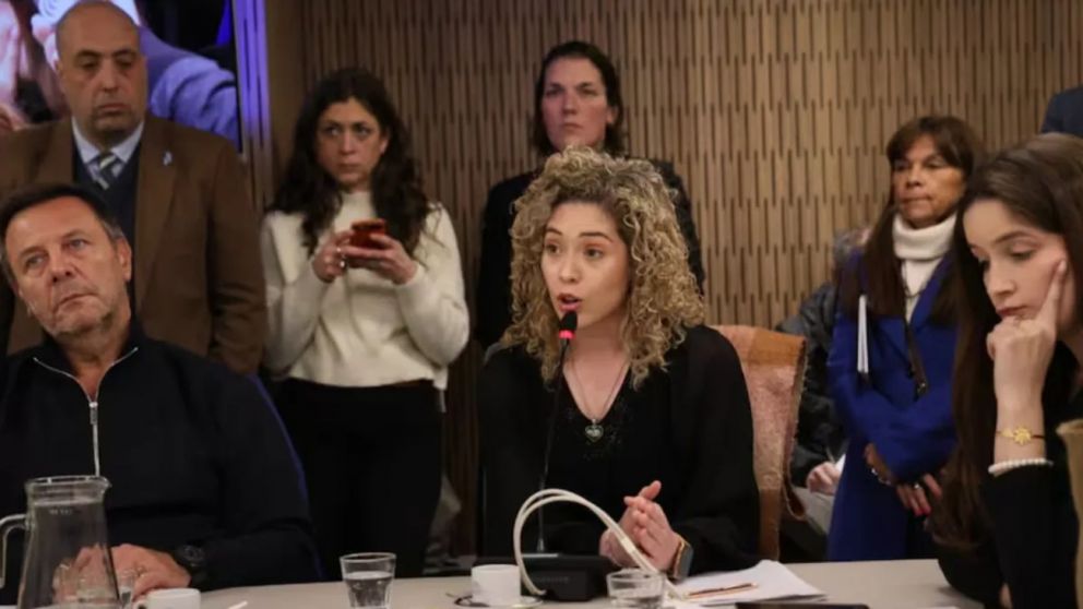 Lourdes Arrieta elevó aún más las tensiones en el bloque de diputados de La Libertad Avanza.