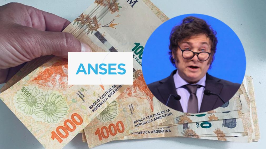 Milei deslizó un posible bono para jubilados.