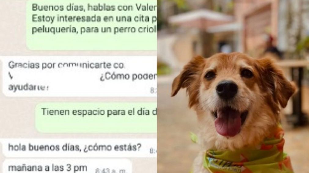 Conoc� al perro Quien, que revoluciono las redes.