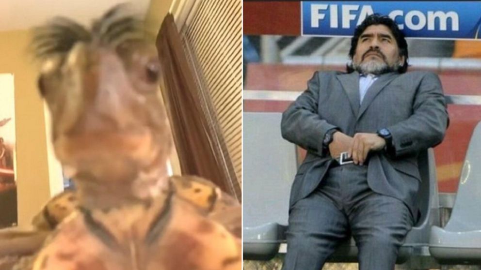 Agarr� el celular de su compa�ero de trabajo, vio lo que ten�a abierto en internet y se encontr� con algo perturbador.