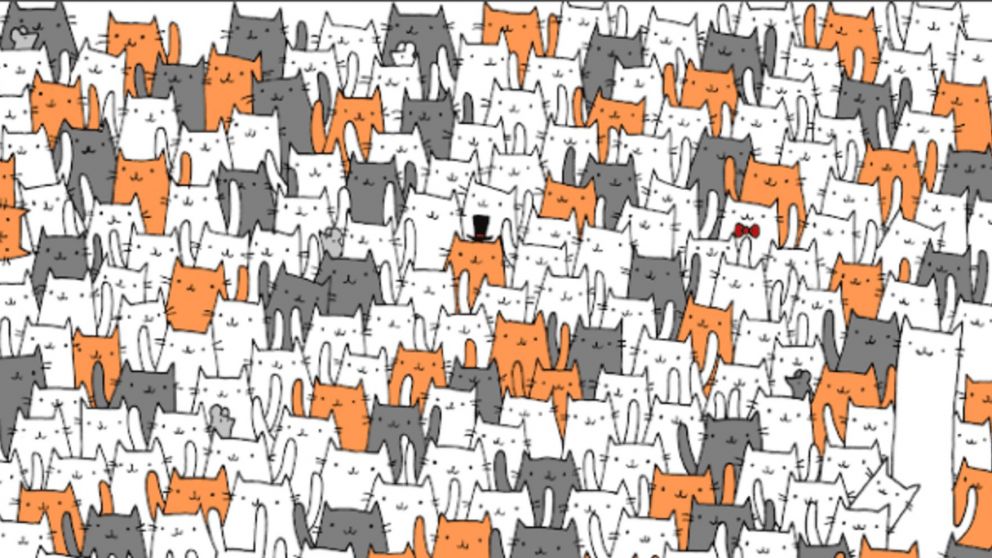Encontrá al conejo infiltrado entre los gatos en menos de 10 segundos.