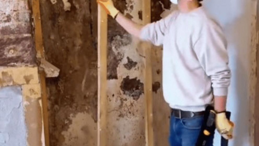 Particular hallazgo en una vivienda de Estados Unidos (Captura de video).