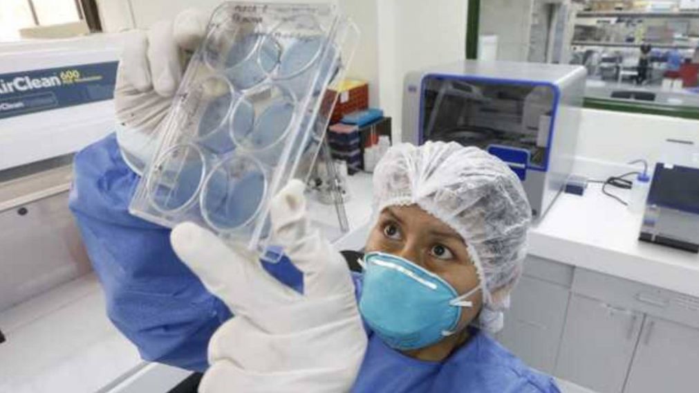 Alerta de la OMS: una nueva cepa mortal de la Viruela del Mono podría desencadenar una pandemia
