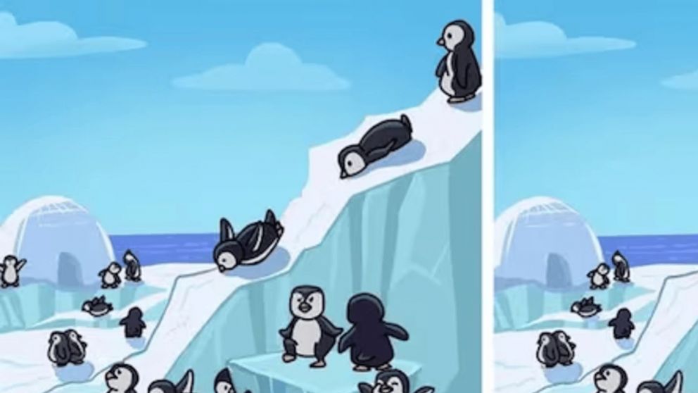 Encontrá las tres diferencias que hay entre las dos imágenes de los pingüinos y superá este reto visual.