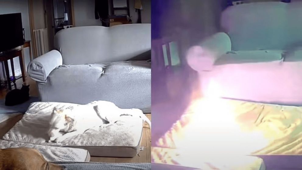 Un perro provocó un incendio en una casa luego de morder una batería de litio (Imagen captura vídeo).