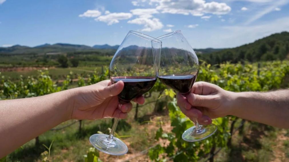 El consumo de vino a diario se debate entre lo recomendable o no (Imagen ilustrativa).