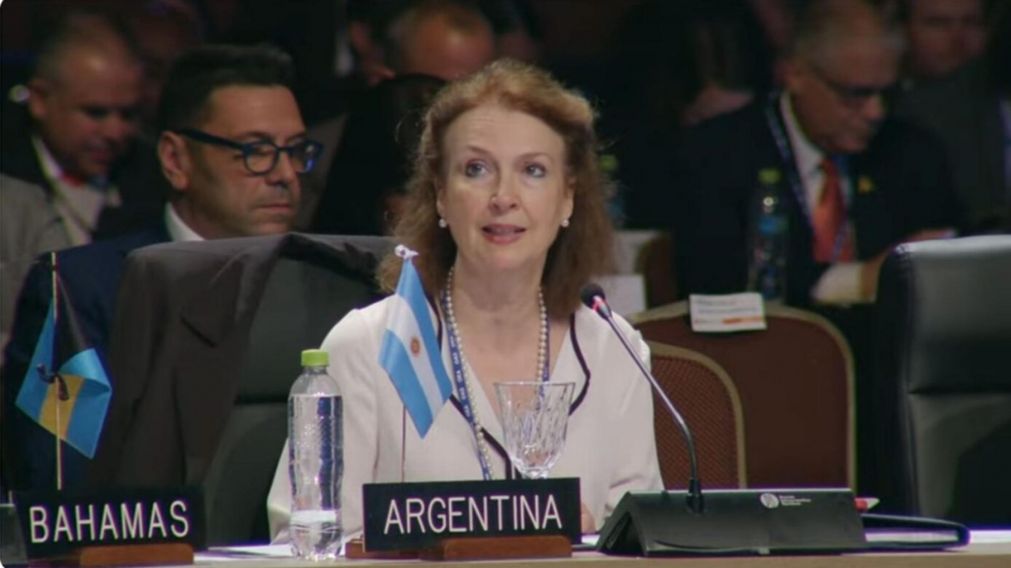 Diana Mondino habló en la OEA de la situación en Venezuela.