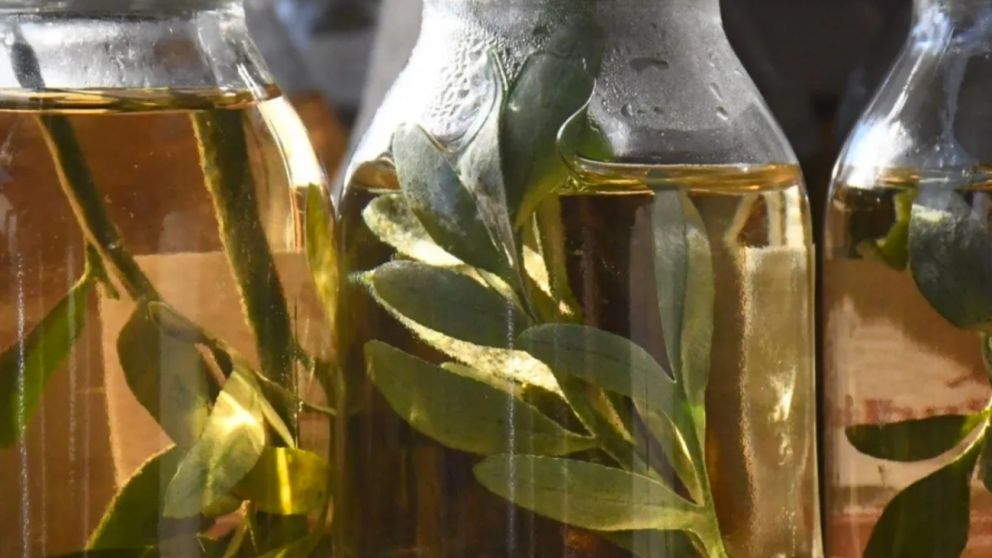 Según los historiadores, la caña simboliza la fuerza y la energía vital, mientras que la ruda, con sus propiedades medicinales, representa la protección y la purificación.