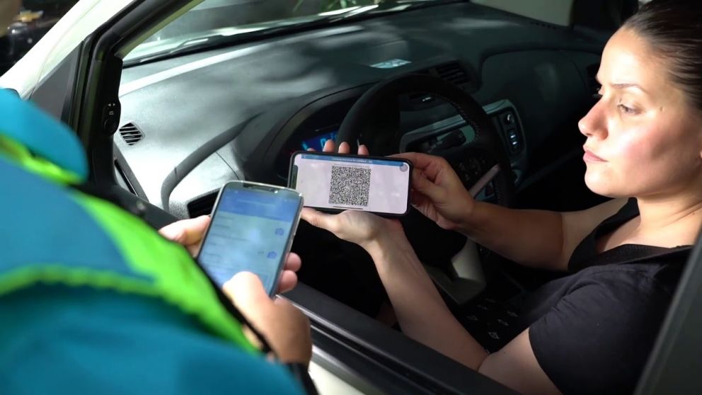 El faltante de c�dula verde puede llevara a una infracci�n (Imagen ilustrativa).