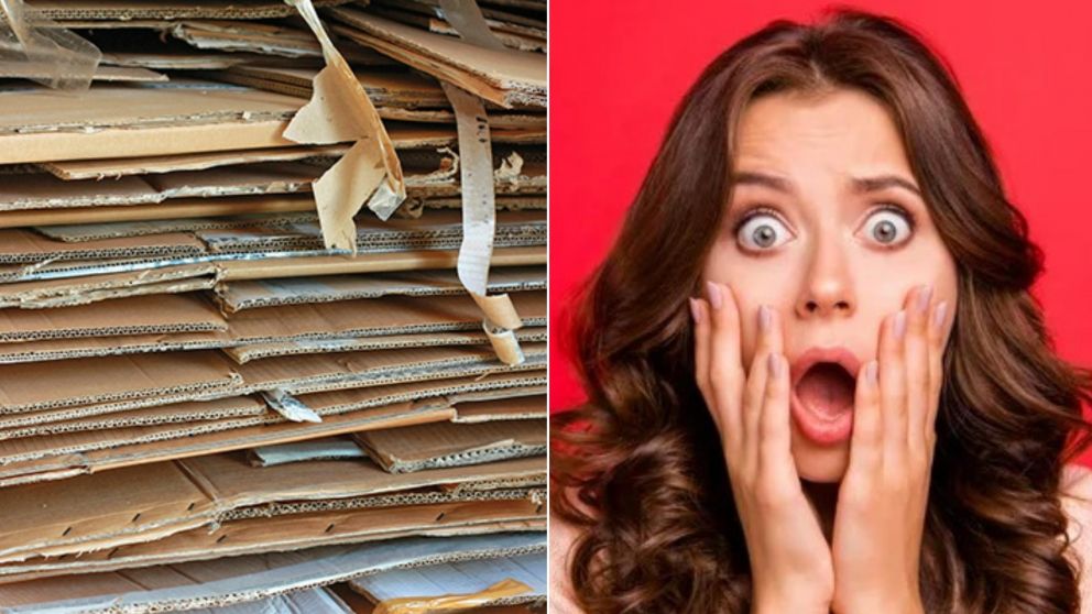 "Cirujeó" cartón y sorprendió a su novia con un desopilante proyecto: "Cacahuete City".