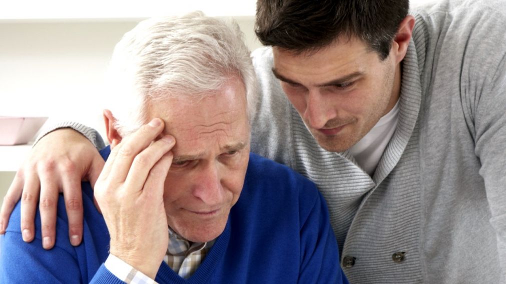 Los cient�ficos de Harvard y Conicet descubrieron los genes que controlan la maduraci�n de las nuevas neuronas en el cerebro adulto.