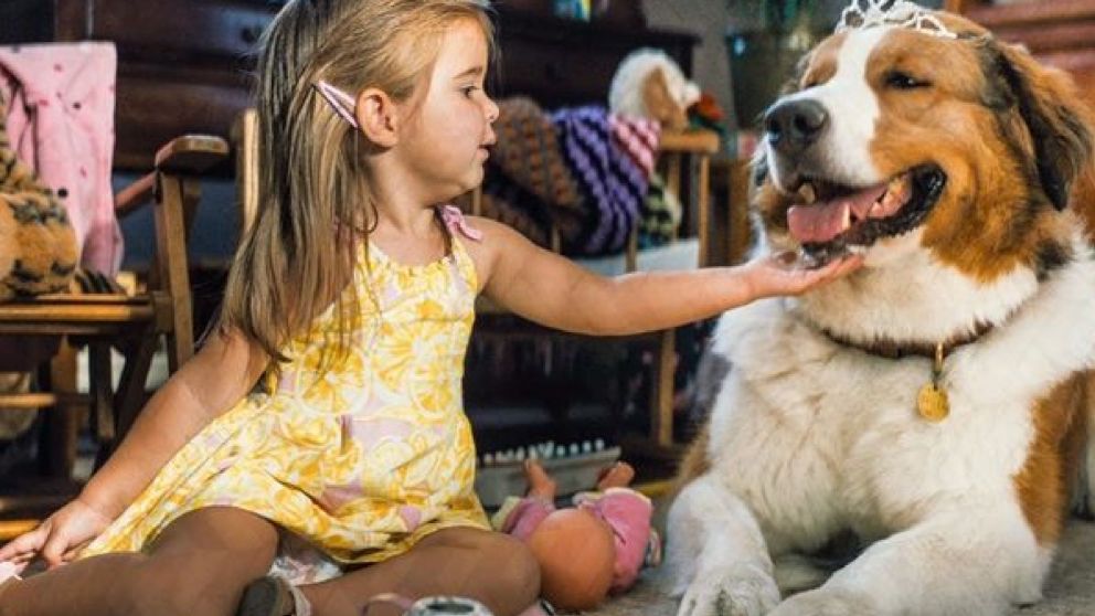 La emotiva película de Netflix sobre mascotas que tuvo una nueva oportunidad en la plataforma