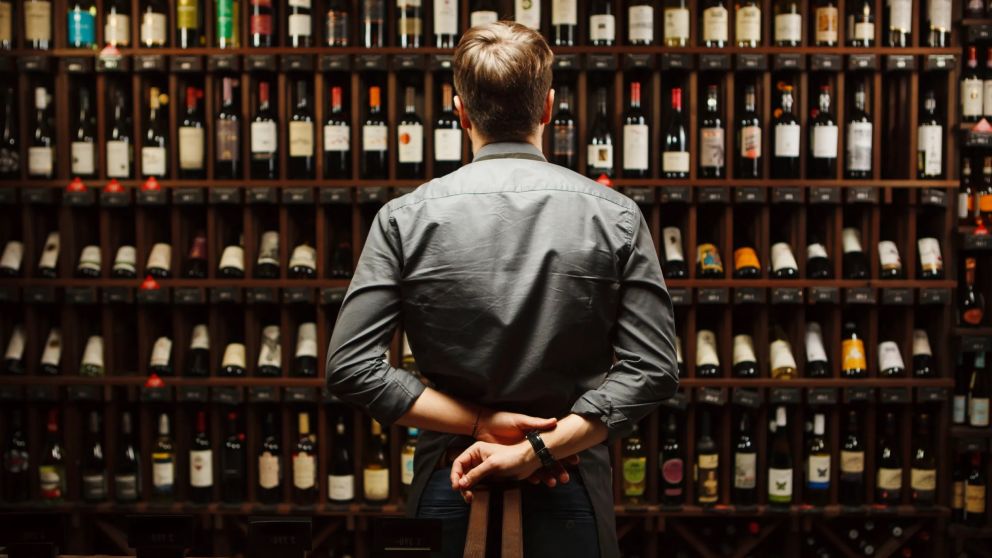 ¿Qué dice la Univeridad de Harvard sobre el consumo de vino y cerveza?