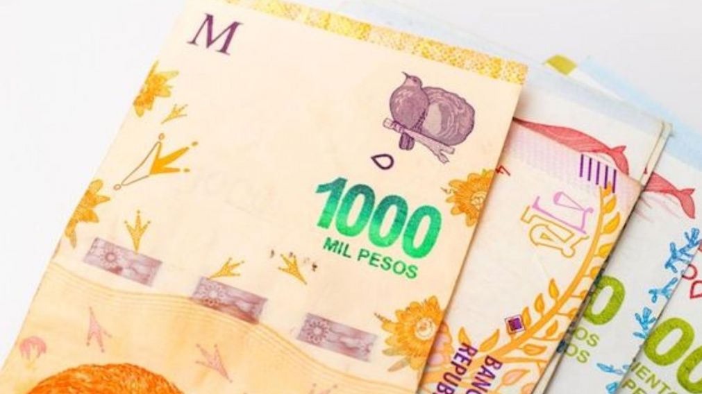 Agosto 2024: los jubilados de la ANSES podr�n cobrar m�s de $290 mil.