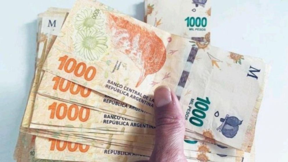 ANSES: �Qui�nes podr�n cobrar un bono de $270.000?