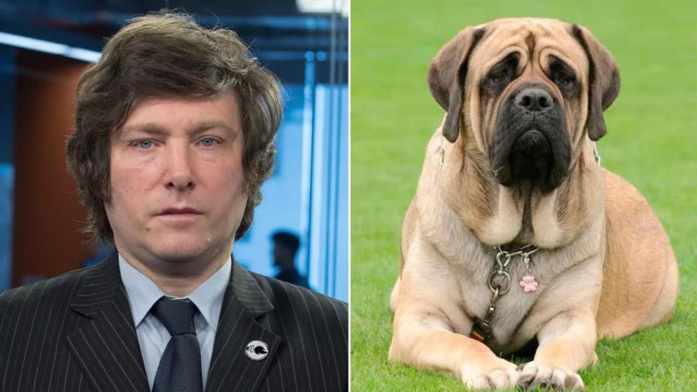 Javier Milei envió un mensaje en sus redes sociales por el Día del Amigo.