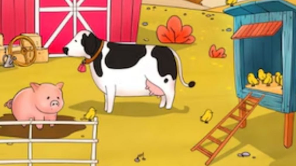 Retó visual de la gallina: un juego que demuestra que tan detallista sos.