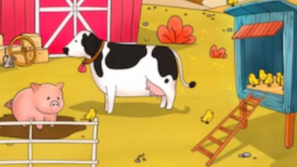 Retó visual de la gallina: un juego que demuestra que tan detallista sos.