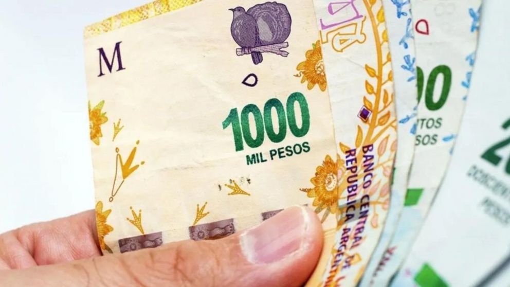 ANSES: ¿Qué jubilados cobran menos en junio?