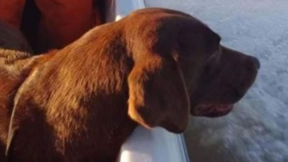 Nerón participó en los operativos de búsqueda de Loan Peña (Facebook).