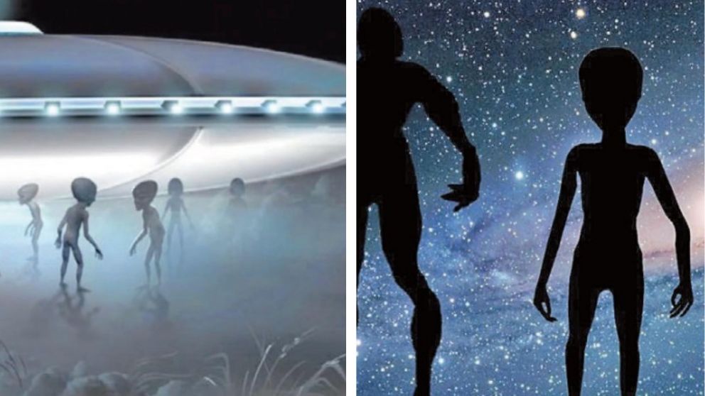 Seres que visitan la Tierra: la mayoría tiene formas humanoides.