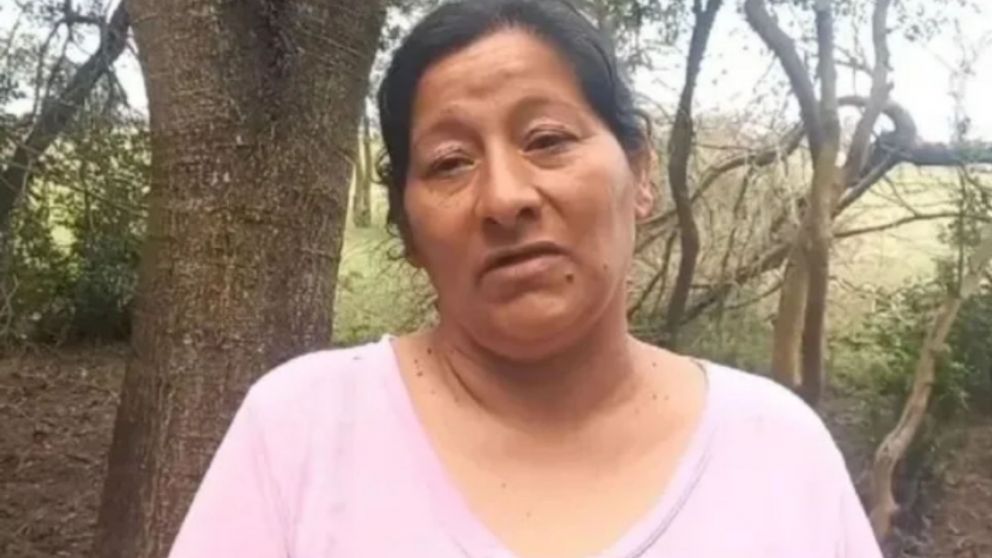 Quedó detenida Laudelina Peña por la desaparición de Loan.