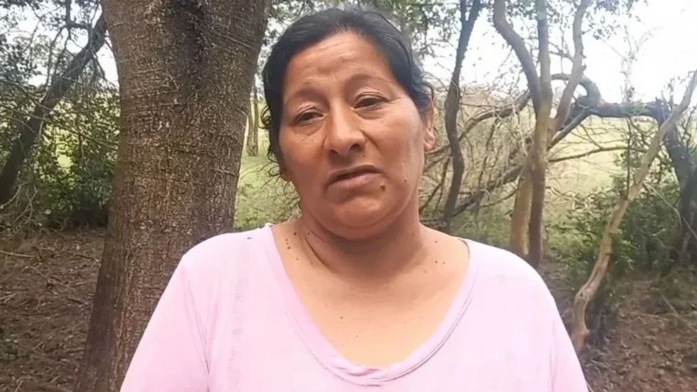 La tía de Loan Laudelina Peña fue imputada.