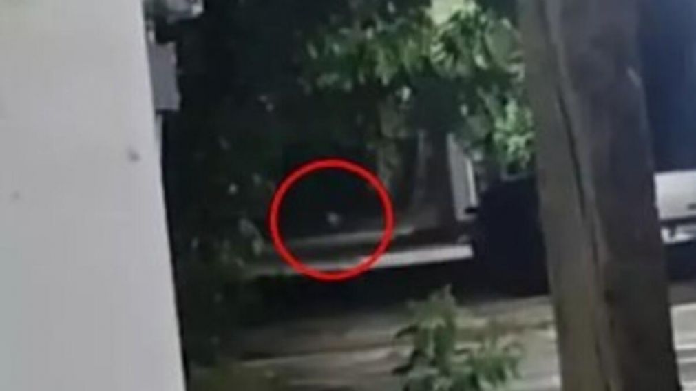 El niño fantasma fue captado en un barrio de México (Captura de video).