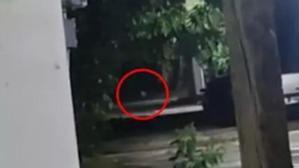 El niño fantasma fue captado en un barrio de México (Captura de video).