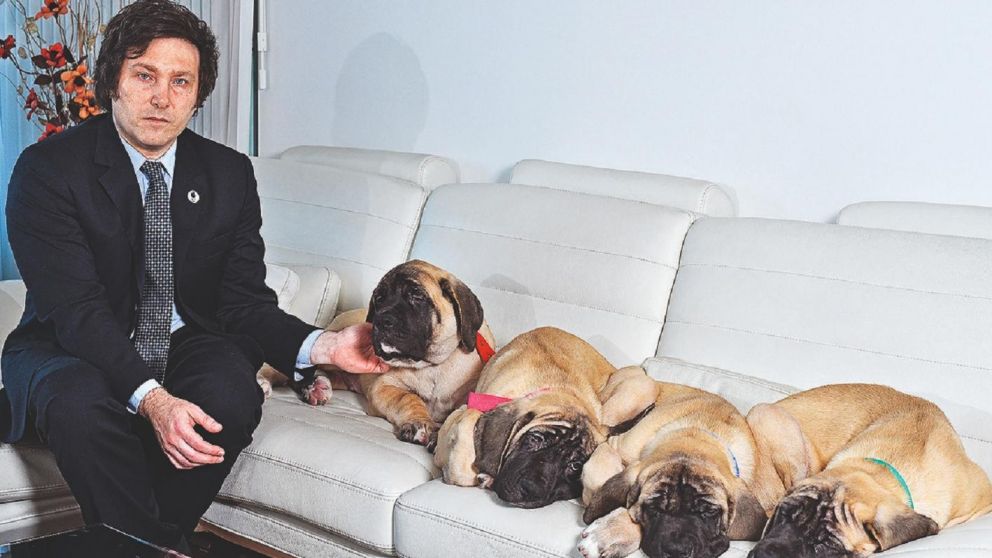 El presidente Javier Milei expresó su respaldo a la denominada "Ley Conan".