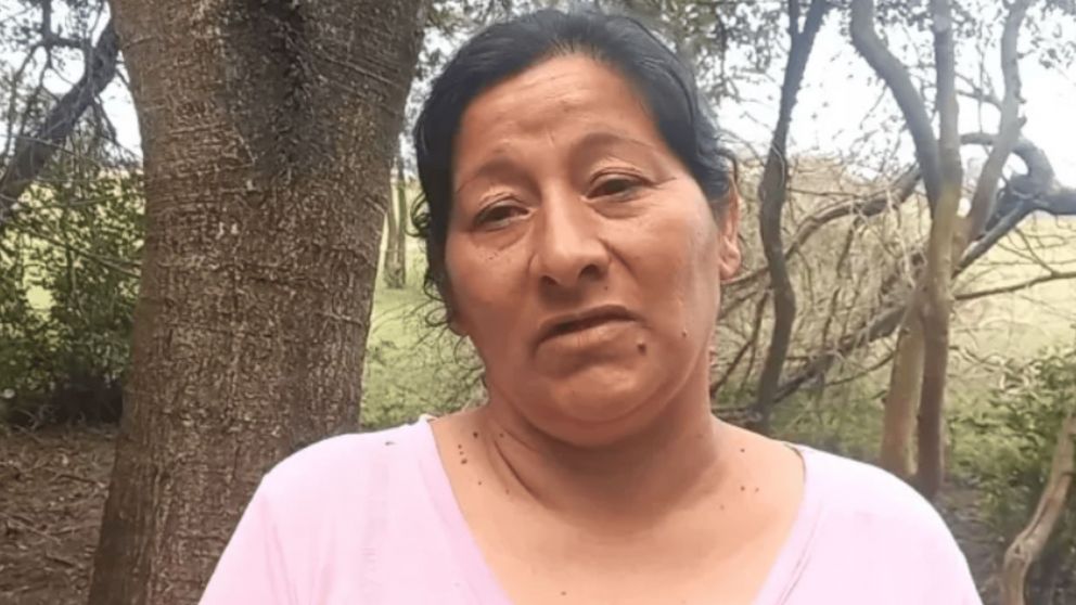 Laudelina Peña dijo que Loan fue atropellado.