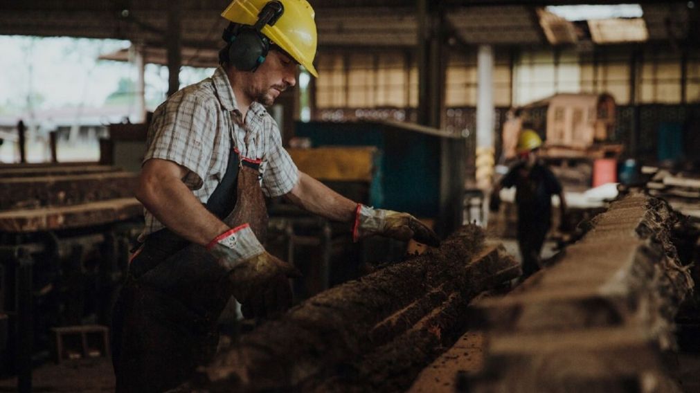 "La demanda cayó muchísimo", explicaron a Crónica desde la industria maderera.
