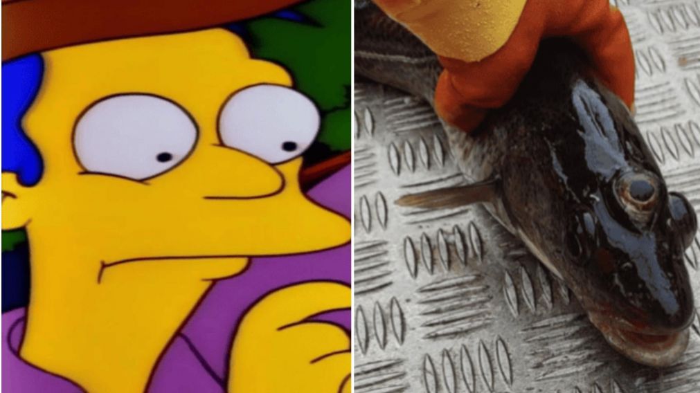 La llamativa predicción de Los Simpson.