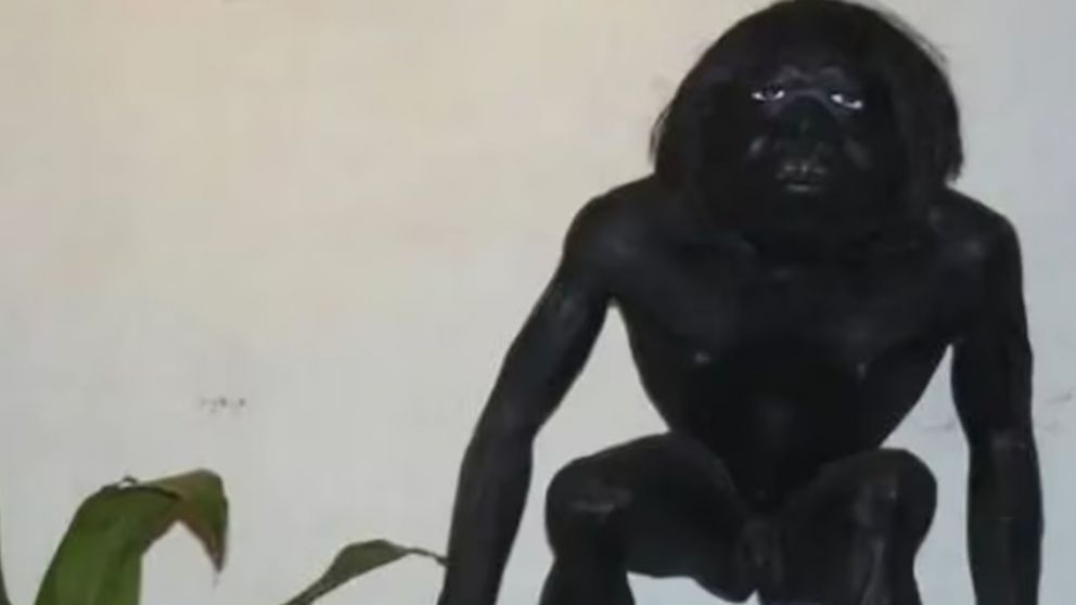 La abuela de Loan y su mención al "Pomberito".como responsable de la desaparición del nene.