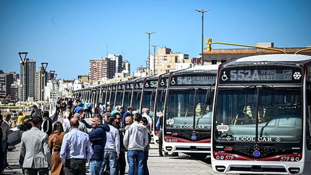 El municipio de General Pueyrredón, donde se ubica Mar del Plata, será alcanzando por la medida.