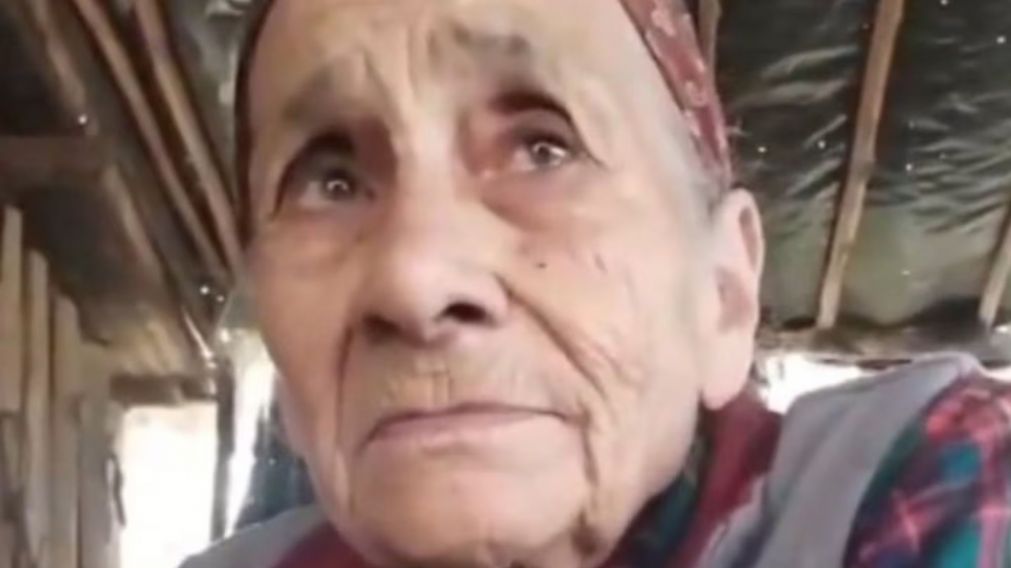La última vez que se lo vio a Loan había ido a un almuerzo a la casa de su abuela.