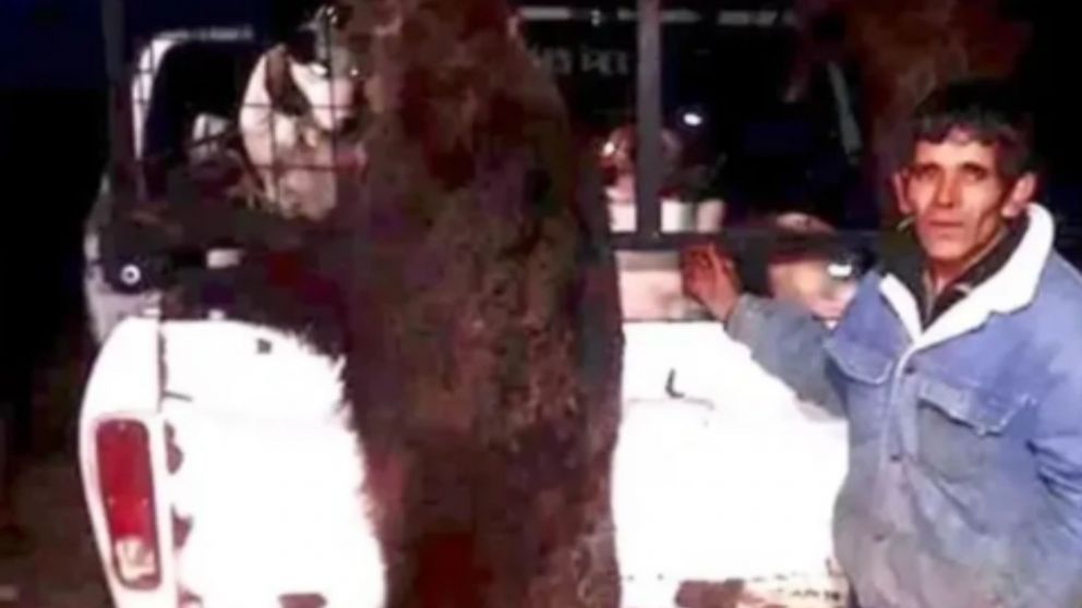 La v�ctima ten�a 53 a�os y fue identificada como Sergio Godoy.�