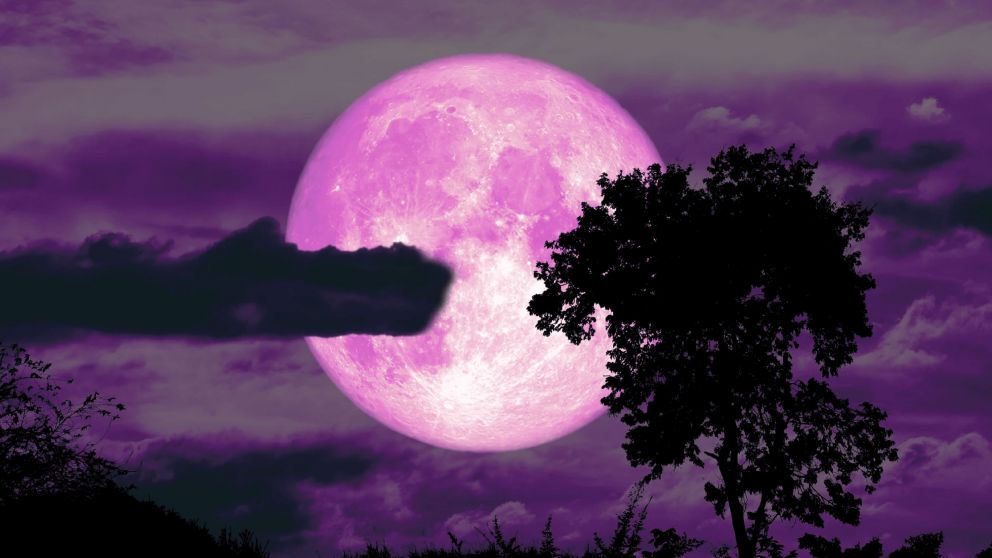 Luna de Fresa 2024: rituales para atraer el amor y el dinero que nunca fallan (Imagen ilustrativa)