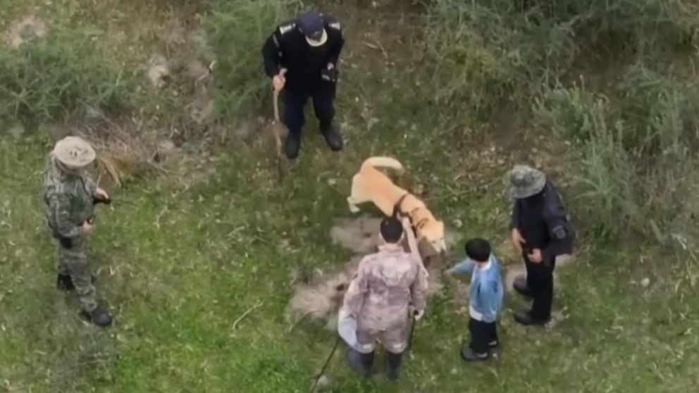 Búsqueda de Loan: así un nene ayuda a la policía, ¿cuál es su función y porque está allí?