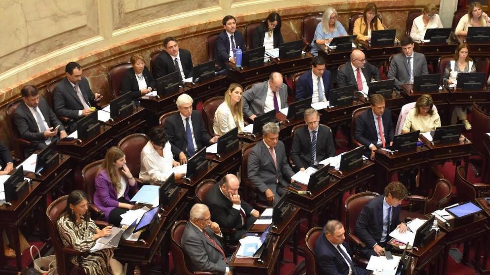 El bloque de senadores de la UCR solicitó acompañar los cambios realizados a la Ley Bases y el paquete fiscal.