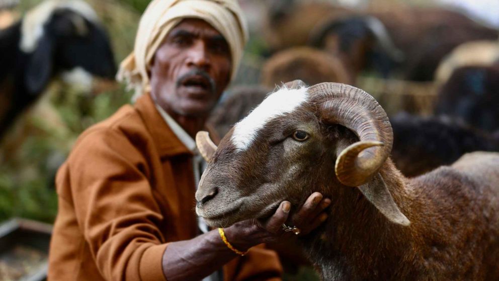 Mensaje del Gobierno por la celebración del Día del Sacrificio.