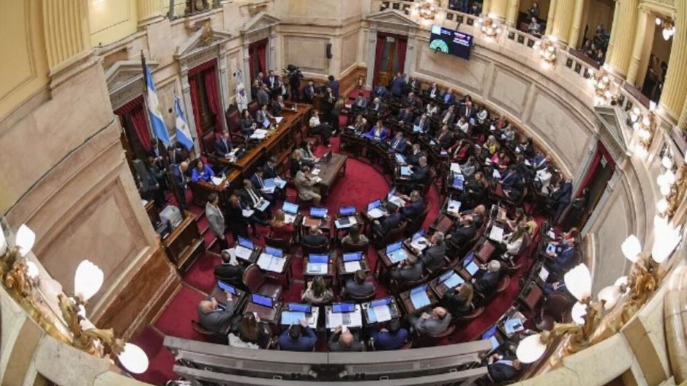 Maratónica sesión en el Senado por la Ley Bases (Twitter).